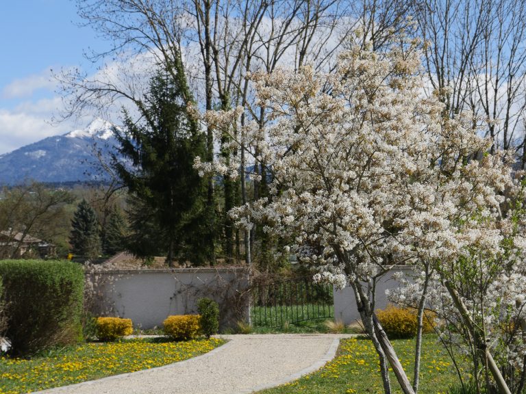 cimetière 2